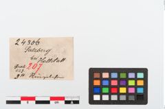 Etiketten zu Bronzering (NHMW-PRAE-024306)
